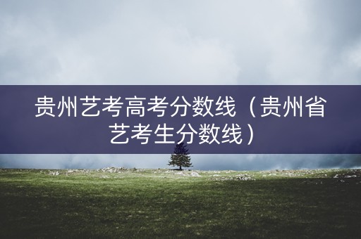 贵州艺考高考分数线（贵州省艺考生分数线）