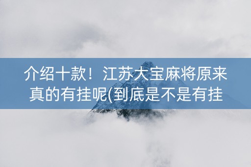介绍十款！江苏大宝麻将原来真的有挂呢(到底是不是有挂)