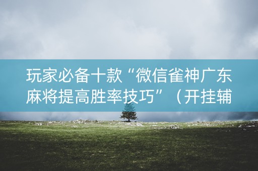 玩家必备十款“微信雀神广东麻将提高胜率技巧”（开挂辅助器脚本)