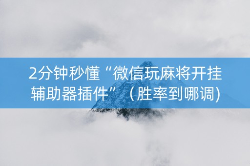 2分钟秒懂“微信玩麻将开挂辅助器插件”（胜率到哪调)