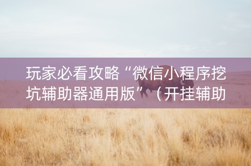 玩家必看攻略“微信小程序挖坑辅助器通用版”（开挂辅助脚本)