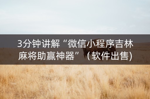 3分钟讲解“微信小程序吉林麻将助赢神器”（软件出售)