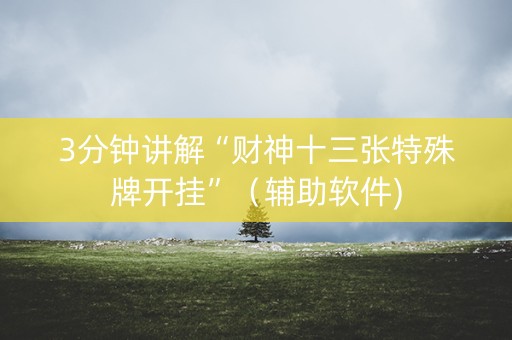3分钟讲解“财神十三张特殊牌开挂”（辅助软件)