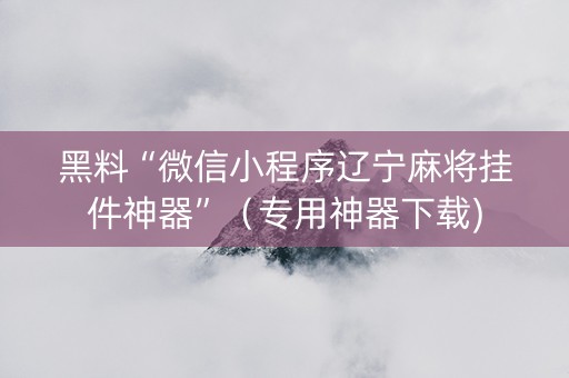 黑料“微信小程序辽宁麻将挂件神器”（专用神器下载)