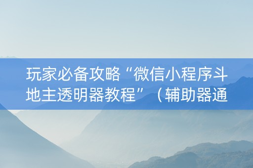 玩家必备攻略“微信小程序斗地主透明器教程”（辅助器通用版)