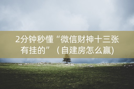 2分钟秒懂“微信财神十三张有挂的”（自建房怎么赢)