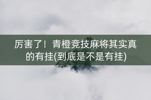 厉害了！青橙竞技麻将其实真的有挂(到底是不是有挂)
