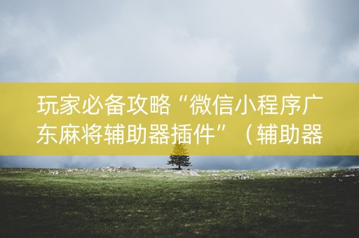 玩家必备攻略“微信小程序广东麻将辅助器插件”（辅助器下载)