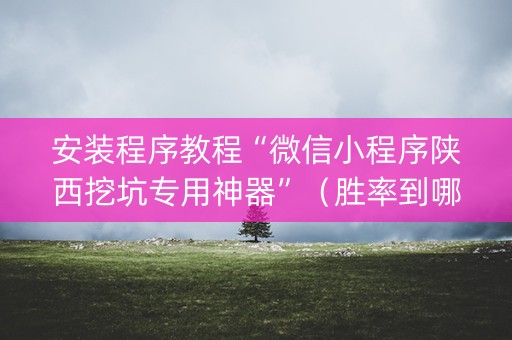 安装程序教程“微信小程序陕西挖坑专用神器”（胜率到哪调)