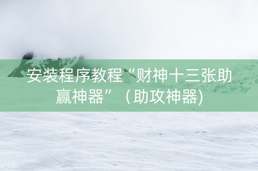 安装程序教程“财神十三张助赢神器”（助攻神器)