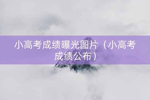小高考成绩曝光图片（小高考成绩公布）