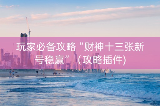 玩家必备攻略“财神十三张新号稳赢”（攻略插件)