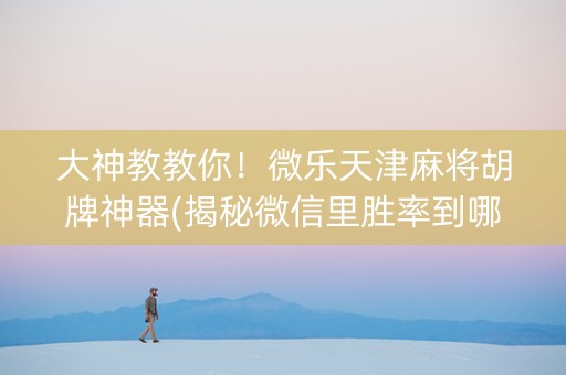 大神教教你！微乐天津麻将胡牌神器(揭秘微信里胜率到哪调)
