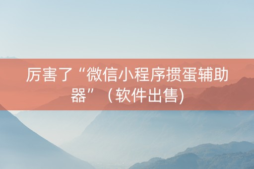 厉害了“微信小程序掼蛋辅助器”（软件出售)