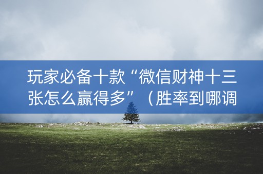 玩家必备十款“微信财神十三张怎么赢得多”（胜率到哪调)