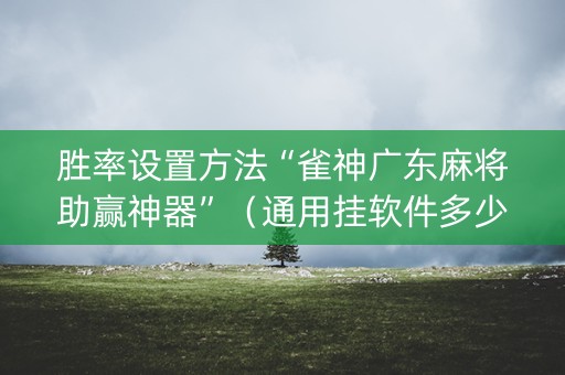 胜率设置方法“雀神广东麻将助赢神器”（通用挂软件多少钱)