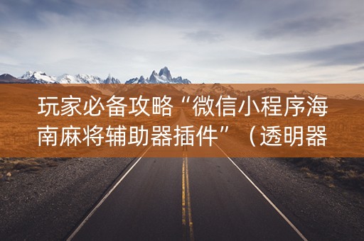 玩家必备攻略“微信小程序海南麻将辅助器插件”（透明器教程)