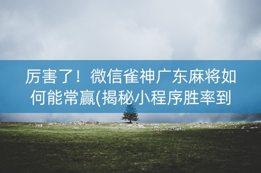 厉害了！微信雀神广东麻将如何能常赢(揭秘小程序胜率到哪调)
