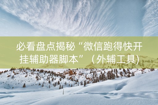 必看盘点揭秘“微信跑得快开挂辅助器脚本”（外辅工具)