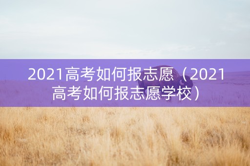 2021高考如何报志愿（2021高考如何报志愿学校）