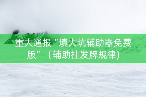 重大通报“填大坑辅助器免费版”（辅助挂发牌规律)