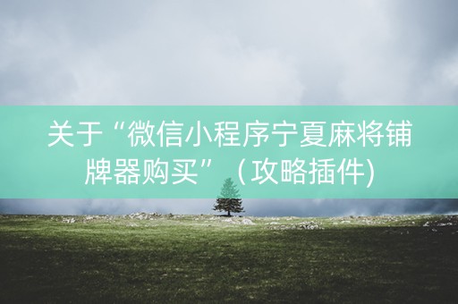 关于“微信小程序宁夏麻将铺牌器购买”（攻略插件)