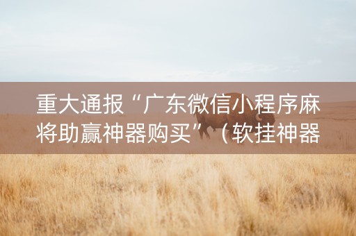 重大通报“广东微信小程序麻将助赢神器购买”（软挂神器)
