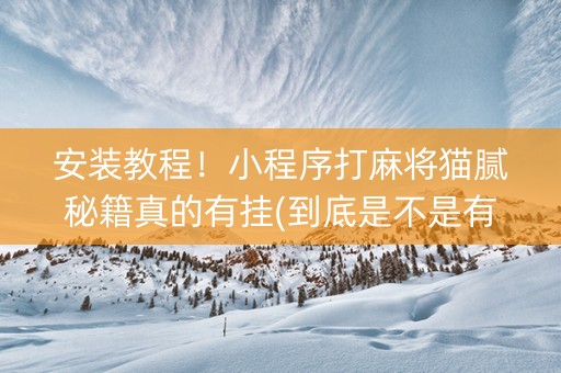 安装教程！小程序打麻将猫腻秘籍真的有挂(到底是不是有挂)