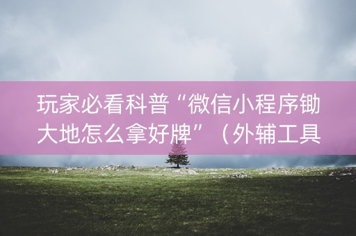 玩家必看科普“微信小程序锄大地怎么拿好牌”（外辅工具)