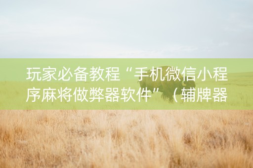 玩家必备教程“手机微信小程序麻将做弊器软件”（辅牌器插件购买)
