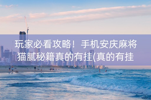 玩家必看攻略！手机安庆麻将猫腻秘籍真的有挂(真的有挂确实有挂)