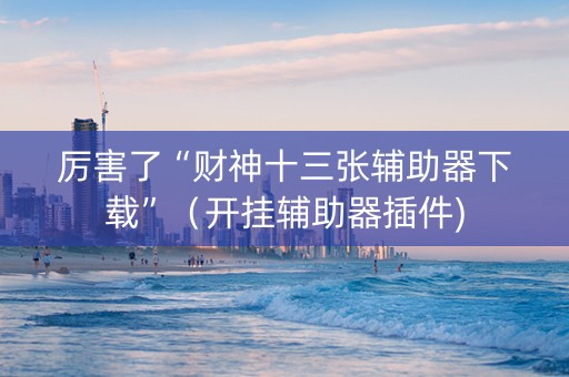 厉害了“财神十三张辅助器下载”（开挂辅助器插件)