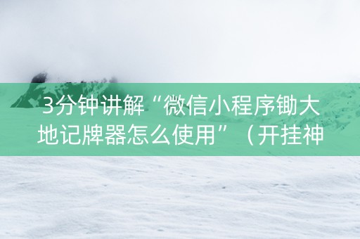 3分钟讲解“微信小程序锄大地记牌器怎么使用”（开挂神器下载)