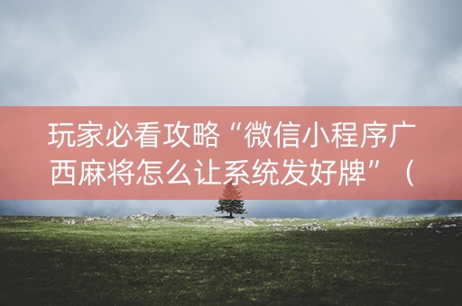 玩家必看攻略“微信小程序广西麻将怎么让系统发好牌”（透明挂辅助器)