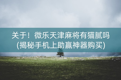 关于！微乐天津麻将有猫腻吗(揭秘手机上助赢神器购买)