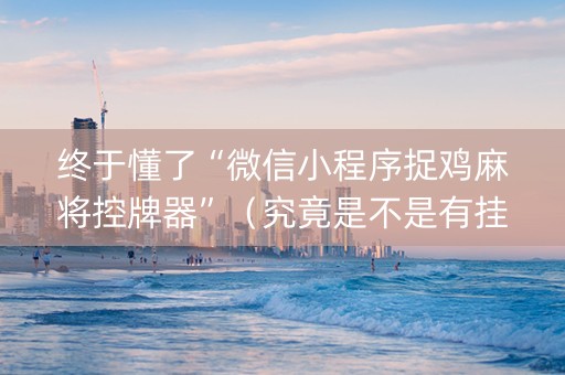 终于懂了“微信小程序捉鸡麻将控牌器”（究竟是不是有挂)