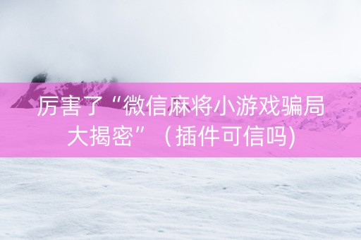 厉害了“微信麻将小游戏骗局大揭密”（插件可信吗)