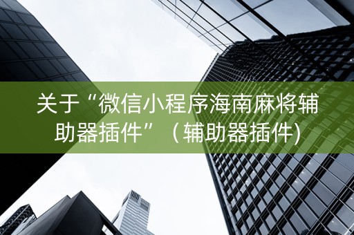 关于“微信小程序海南麻将辅助器插件”（辅助器插件)