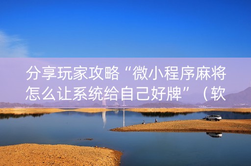 分享玩家攻略“微小程序麻将怎么让系统给自己好牌”（软件出售)