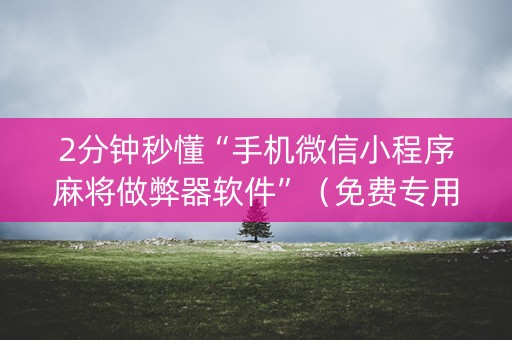 2分钟秒懂“手机微信小程序麻将做弊器软件”（免费专用神器)