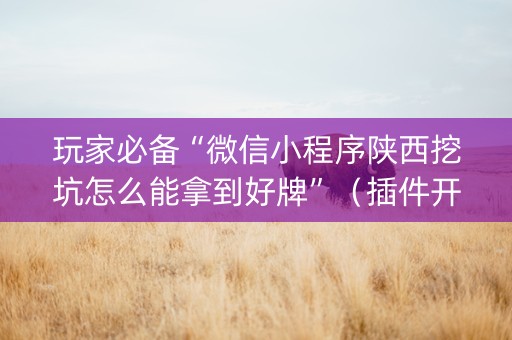 玩家必备“微信小程序陕西挖坑怎么能拿到好牌”（插件开挂免费AI)
