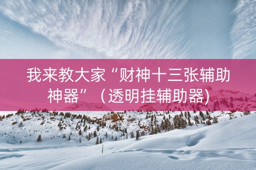 我来教大家“财神十三张辅助神器”（透明挂辅助器)
