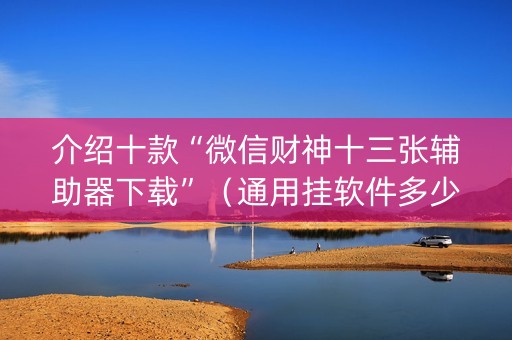 介绍十款“微信财神十三张辅助器下载”（通用挂软件多少钱)