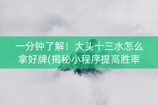 一分钟了解！大头十三水怎么拿好牌(揭秘小程序提高胜率)