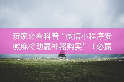 玩家必看科普“微信小程序安徽麻将助赢神器购买”（必赢神器)