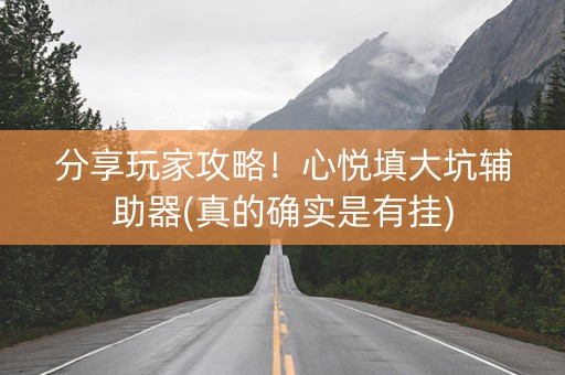 分享玩家攻略！心悦填大坑辅助器(真的确实是有挂)