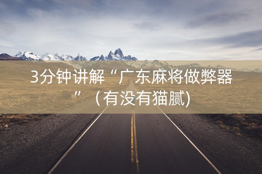 3分钟讲解“广东麻将做弊器”（有没有猫腻)