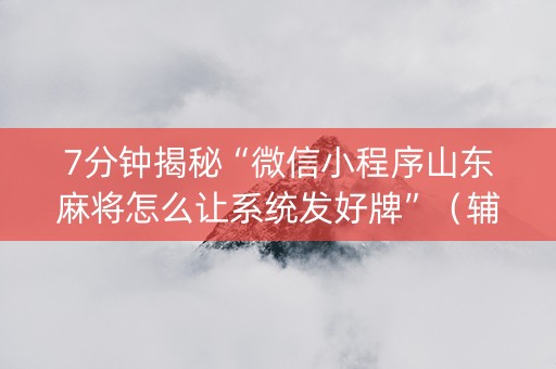 7分钟揭秘“微信小程序山东麻将怎么让系统发好牌”（辅牌器插件购买)