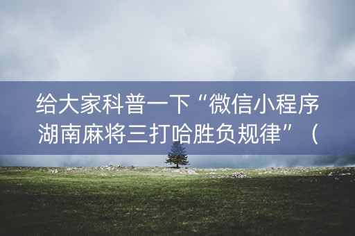 给大家科普一下“微信小程序湖南麻将三打哈胜负规律”（控牌神器)