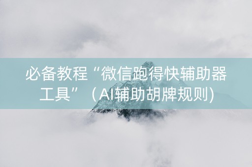 必备教程“微信跑得快辅助器工具”（AI辅助胡牌规则)